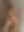 imagem 10 de Diana